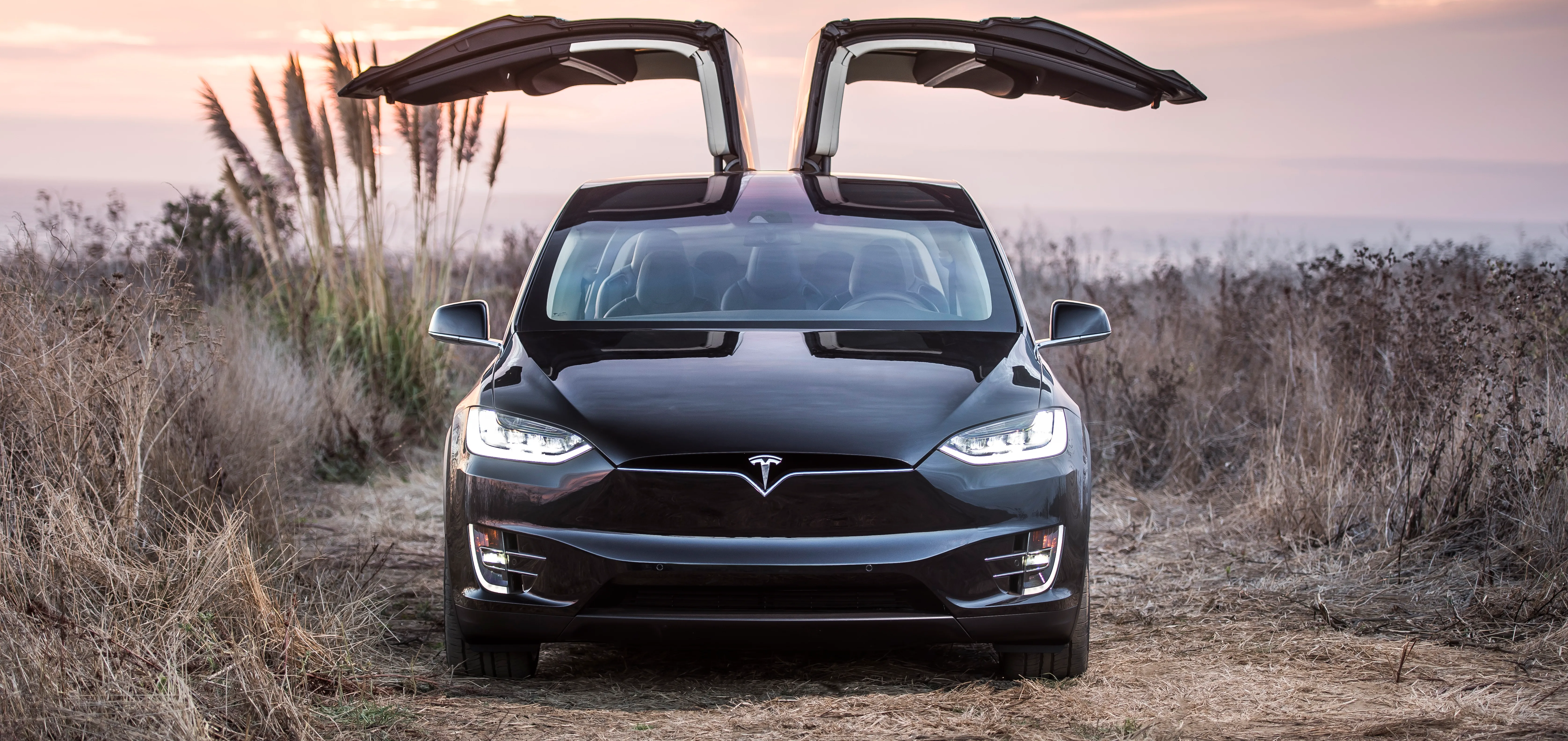 Tesla Model X Photo